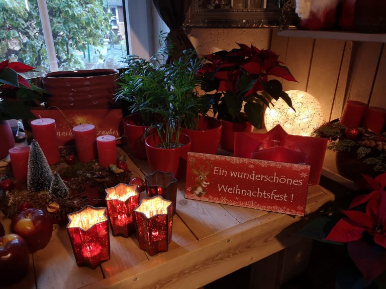 WhatsApp Image 2019-11-18 at 07.39.51(3)