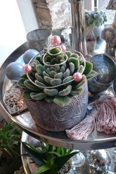 Schnittblumen_v_01_450x800